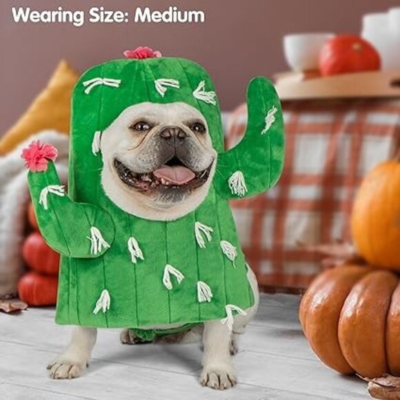 Cyeollo Large Dog Costume Cute Cactus Dog Cosplay Funny Costumes Halloween - Picture 2 of 6